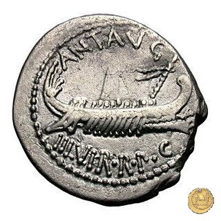 544/21 - denario LEG. VIII (legionis octavae) 32-31 BC (Itinerante con M. Antonius)