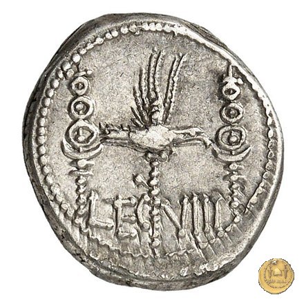 544/21 - denario LEG. VIII (legionis octavae) 32-31 BC (Itinerante con M. Antonius)