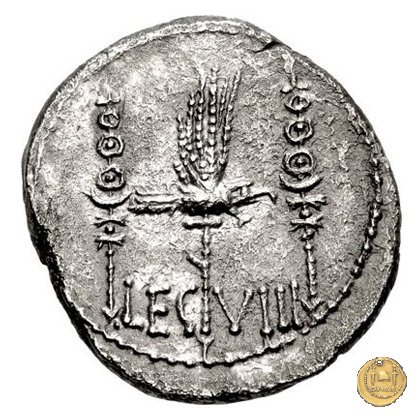 544/21 - denario LEG. VIII (legionis octavae) 32-31 BC (Itinerante con M. Antonius)