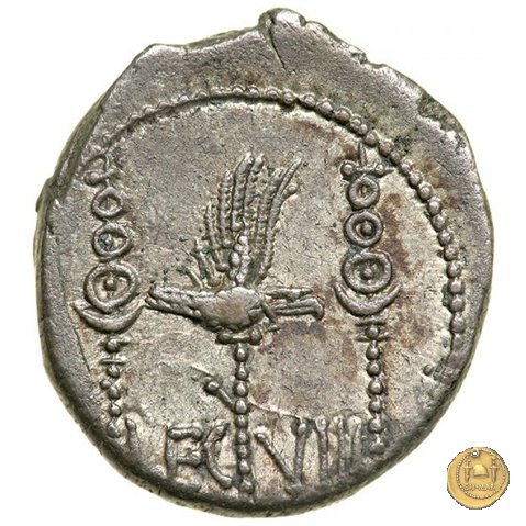 544/21 - denario LEG. VIII (legionis octavae) 32-31 BC (Itinerante con M. Antonius)