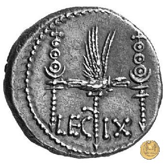 544/23 - denario LEG. IX (legionis nonae) 32-31 BC (Itinerante con M. Antonius)