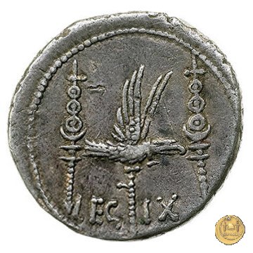 544/23 - denario LEG. IX (legionis nonae) 32-31 BC (Itinerante con M. Antonius)