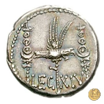 544/29 - denario LEG. XIV (legionis quartae decimae) 32-31 BC (Itinerante con M. Antonius)