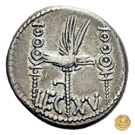 544/30 - denario LEG. XV (legionis quintae decimae) 32-31 BC (Itinerante con M. Antonius)