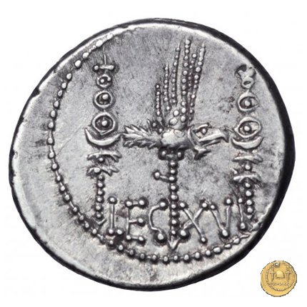 544/31 - denario LEG. XVI (legionis sextae decimae) 32-31 BC (Itinerante con M. Antonius)