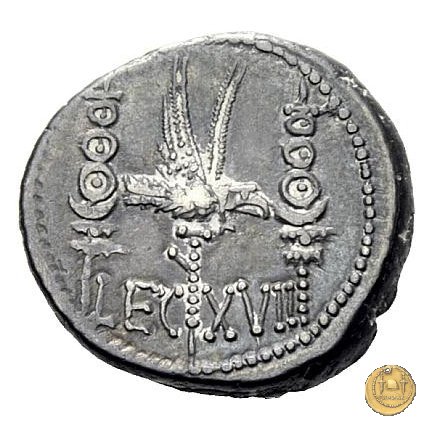 544/32 - denario LEG. XVII (legionis septimae decimae) 32-31 BC (Itinerante con M. Antonius)