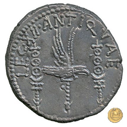 544/9 - denario LEG. XII ANTIQVAE 32-31 BC (Itinerante con M. Antonius)