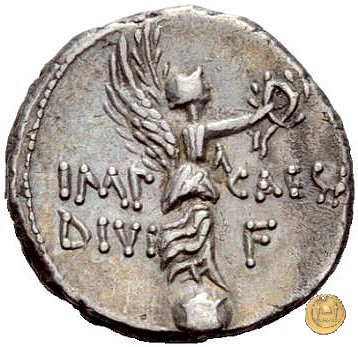 546/4 - denario C. Iulius Caesar Octavianus 31 BC (Cirenaica)