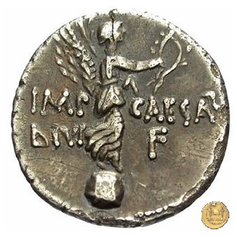 546/4 - denario C. Iulius Caesar Octavianus 31 BC (Cirenaica)