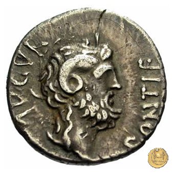546/4 - denario C. Iulius Caesar Octavianus 31 a.C. (Cirenaica)