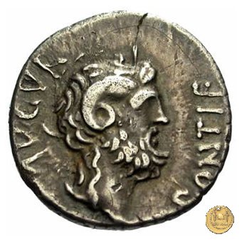 546/4 - denario C. Iulius Caesar Octavianus 31 BC (Cirenaica)