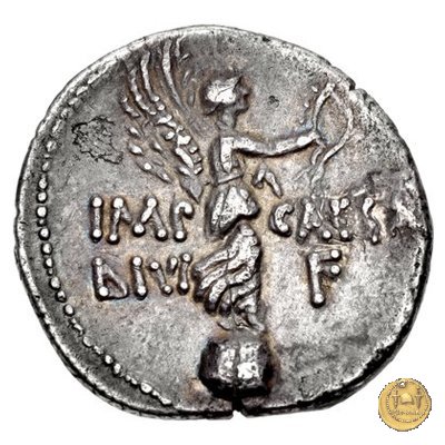 546/4 - denario C. Iulius Caesar Octavianus 31 BC (Cirenaica)