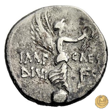 546/4 - denario C. Iulius Caesar Octavianus 31 BC (Cirenaica)