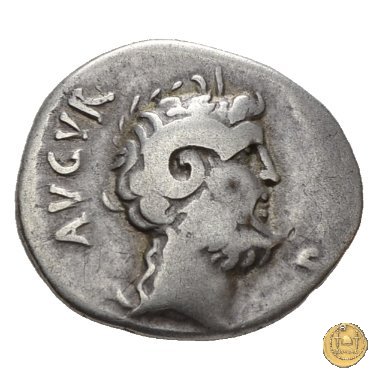 546/4 - denario C. Iulius Caesar Octavianus 31 BC (Cirenaica)