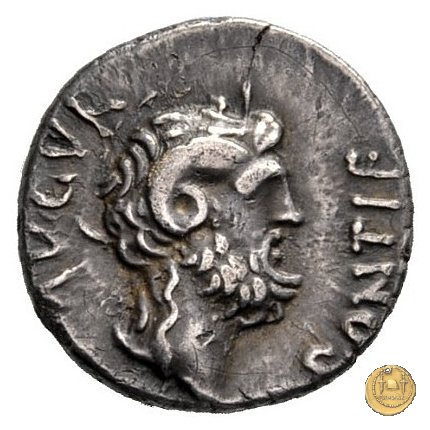 546/4 - denario C. Iulius Caesar Octavianus 31 BC (Cirenaica)