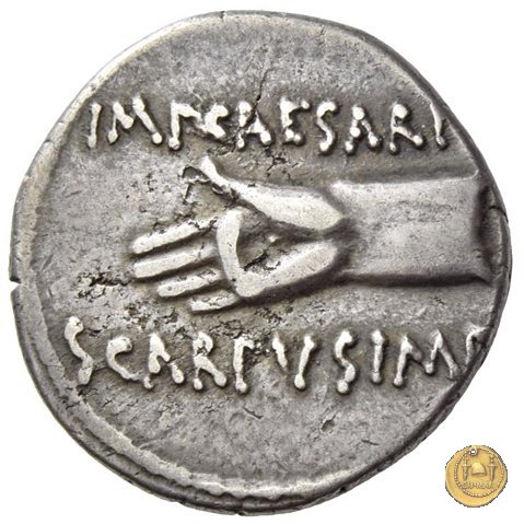 546/6 - denario C. Iulius Caesar Octavianus / L. Pinarius Scarpus 31 a.C. (Cirenaica)