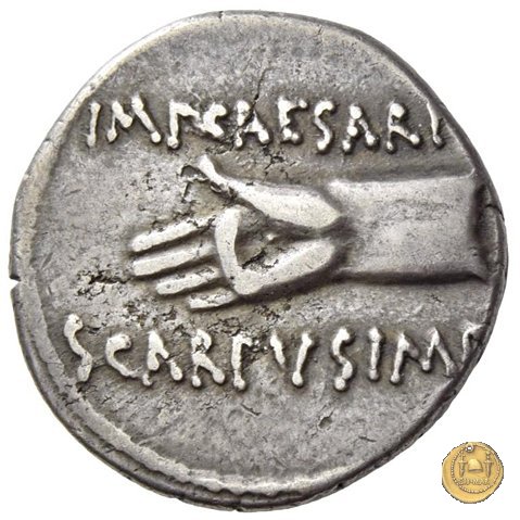 546/6 - denario C. Iulius Caesar Octavianus / L. Pinarius Scarpus 31 BC (Cirenaica)