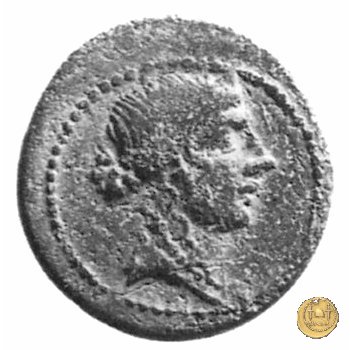 550/1 - bronzo Q. Oppius 88 BC (Laodiceia)