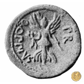 550/1 - bronzo Q. Oppius 88 BC (Laodiceia)