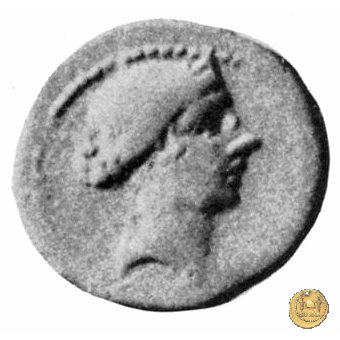 550/1 - bronzo Q. Oppius 88 BC (Laodiceia)