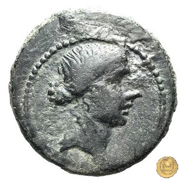 550/1 - bronzo Q. Oppius 88 BC (Laodiceia)