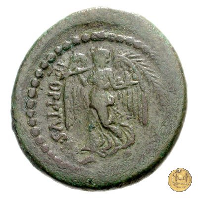 550/2 - bronzo Q. Oppius 88 BC (Laodiceia)