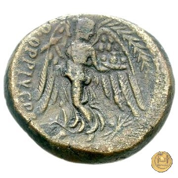 550/2 - bronzo Q. Oppius 88 BC (Laodiceia)