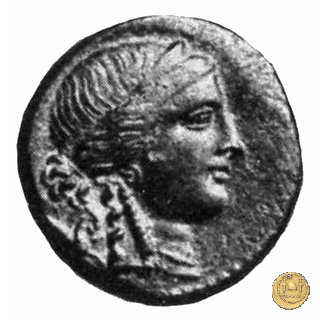 550/2 - bronzo Q. Oppius 88 BC (Laodiceia)