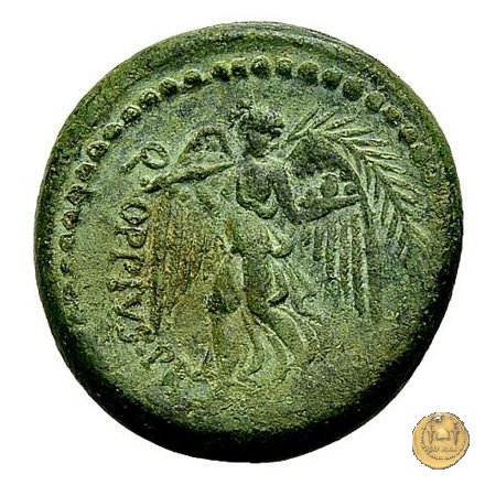 550/2 - bronzo Q. Oppius 88 BC (Laodiceia)