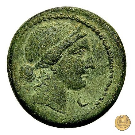 550/2 - bronzo Q. Oppius 88 BC (Laodiceia)