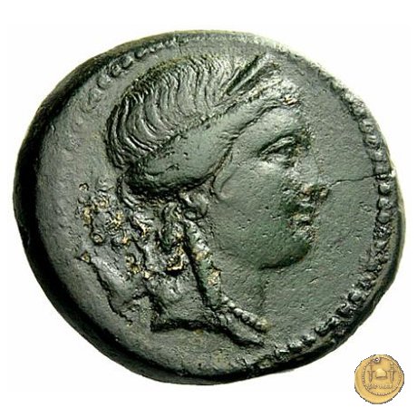 550/2 - bronzo Q. Oppius 88 BC (Laodiceia)