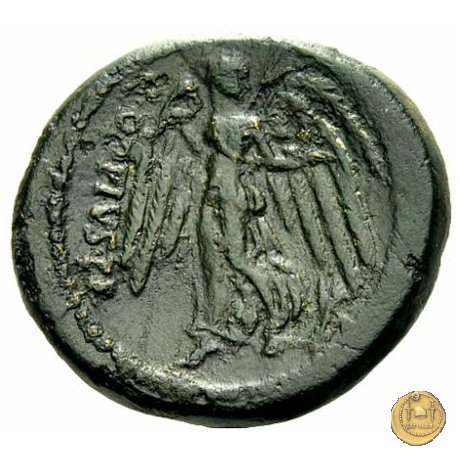 550/2 - bronzo Q. Oppius 88 BC (Laodiceia)