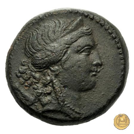 550/2 - bronzo Q. Oppius 88 BC (Laodiceia)