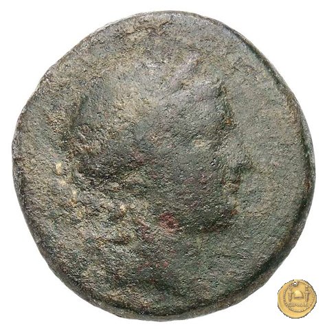 550/2 - bronzo Q. Oppius 88 BC (Laodiceia)