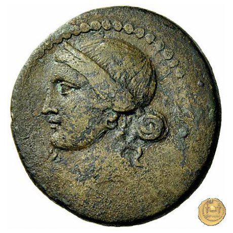 550/3 - bronzo Q. Oppius 88 BC (Laodiceia)