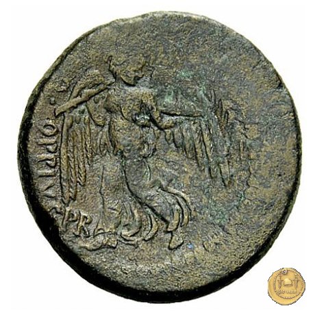 550/3 - bronzo Q. Oppius 88 BC (Laodiceia)