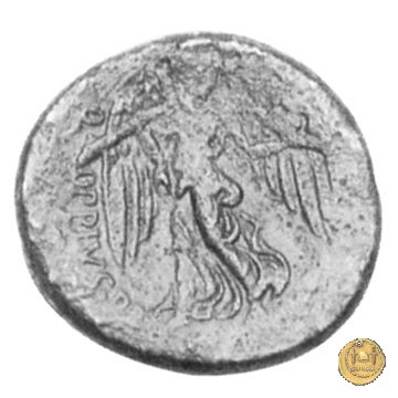 550/3 - bronzo Q. Oppius 88 BC (Laodiceia)