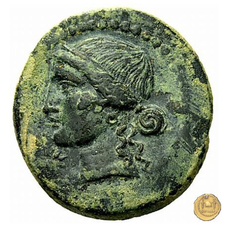 550/3 - bronzo Q. Oppius 88 BC (Laodiceia)