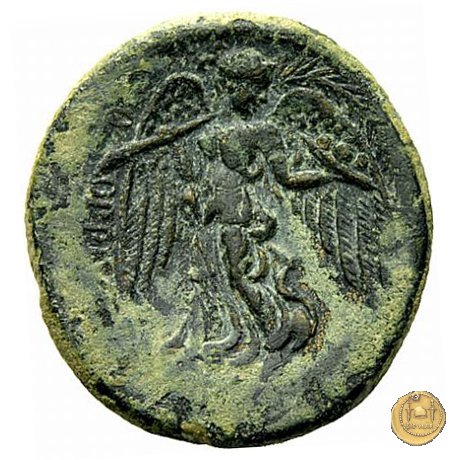 550/3 - bronzo Q. Oppius 88 BC (Laodiceia)