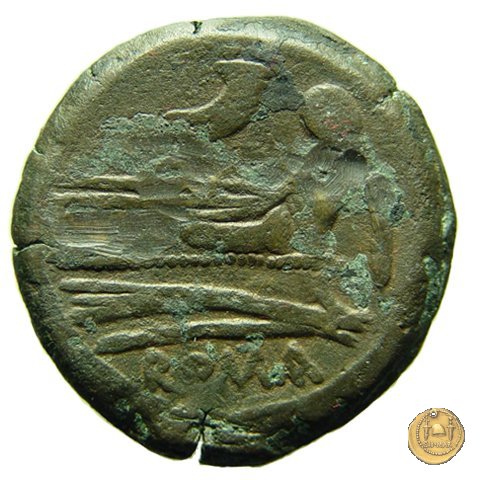 58/3 - asse (cornucopia a sinistra) 206-195 BC (Roma)