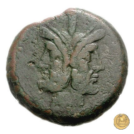 58/3 - asse (cornucopia a sinistra) 206-195 BC (Roma)