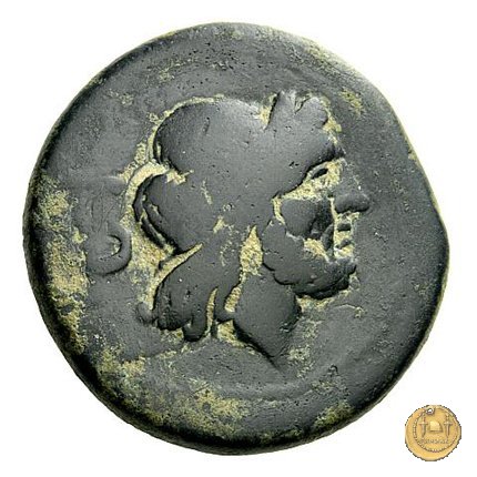 64/3 - semisse 210 BC (Sardegna)