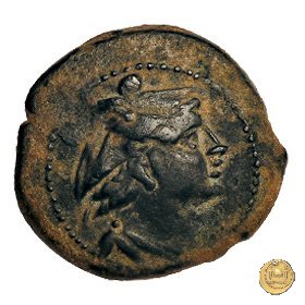 65/6 - sestante 209 BC (Sardegna)