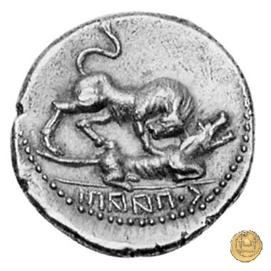 6a - Toro e lupa a destra 90 BC (Campania)