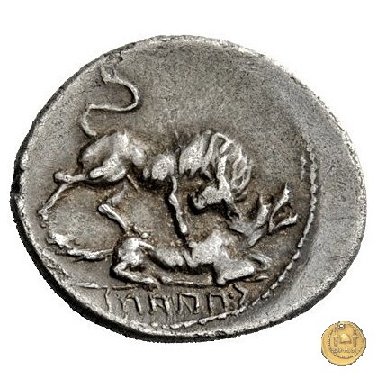 6a - Toro e lupa a destra 90 BC (Campania)