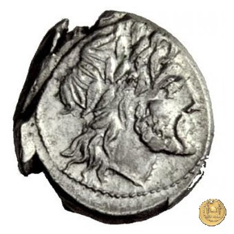 72/1 - spiga di grano (corn-ear) 211-210 BC (Sicilia)