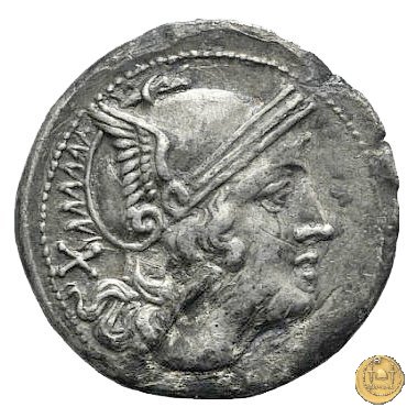 73/1 - dolabella 209-208 BC (Sicilia)