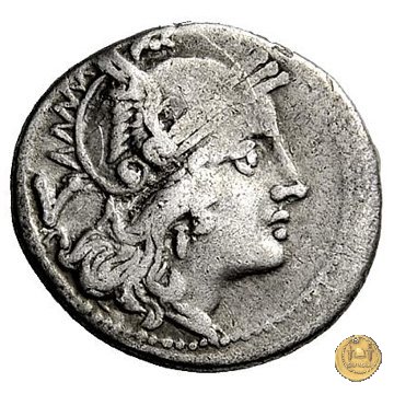 74/2 - quinario C. Terentius Varro 209-208 BC (Sicilia)