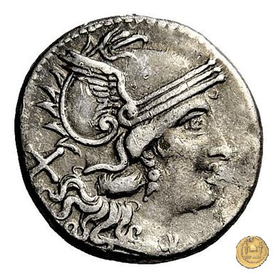 75/1 - denario C. Aelius 209-208 BC (Sicilia)