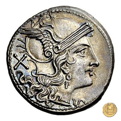 75/1 - denario C. Aelius 209-208 BC (Sicilia)